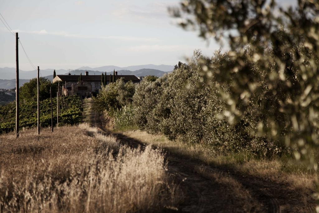 Villa Tenuta Di Colle Alberti Agriturismo Cerreto Guidi Exterior foto