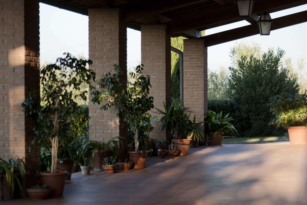 Villa Tenuta Di Colle Alberti Agriturismo Cerreto Guidi Exterior foto